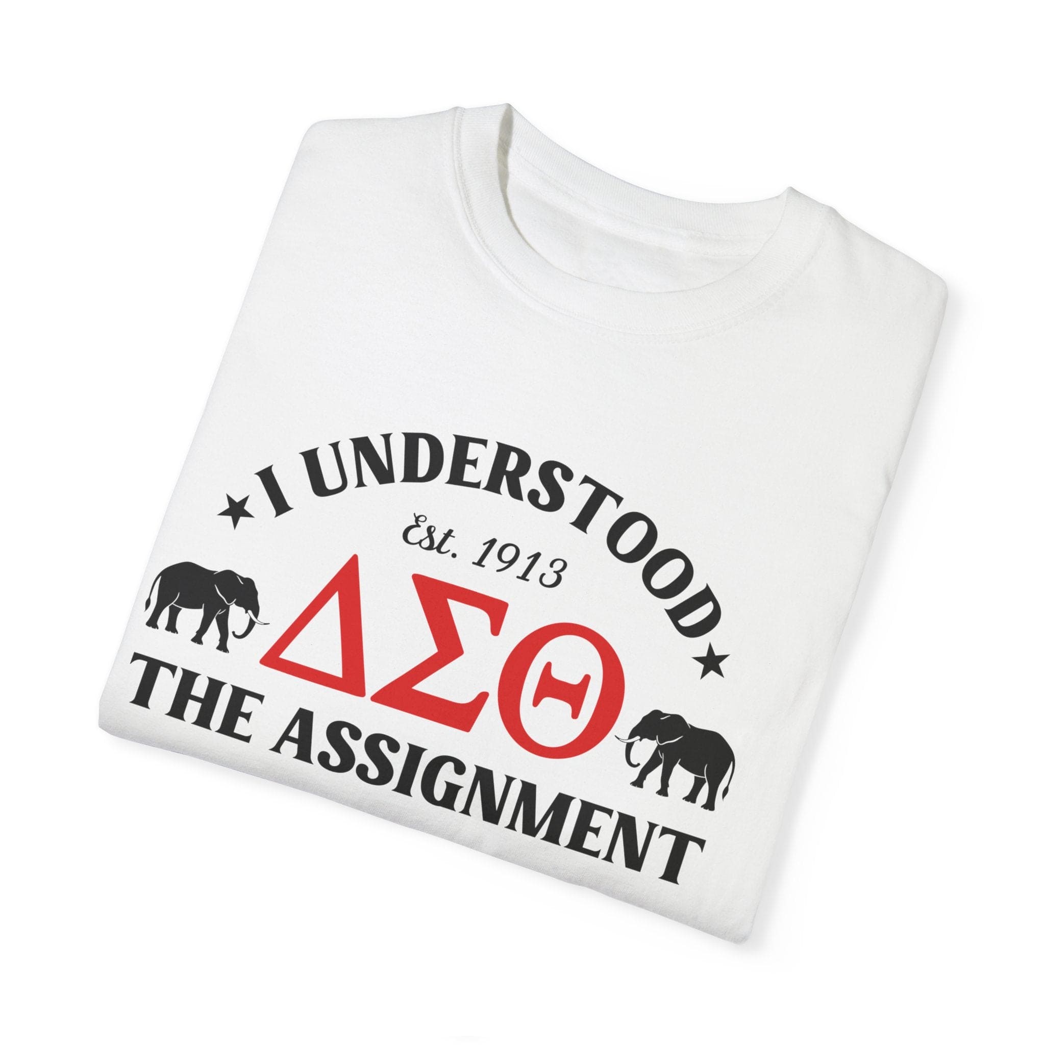 Unisex Garment-Dyed T-Shirt - Delta Sigma Theta 'THE ASSIGNMENT' SPR'25 Design
